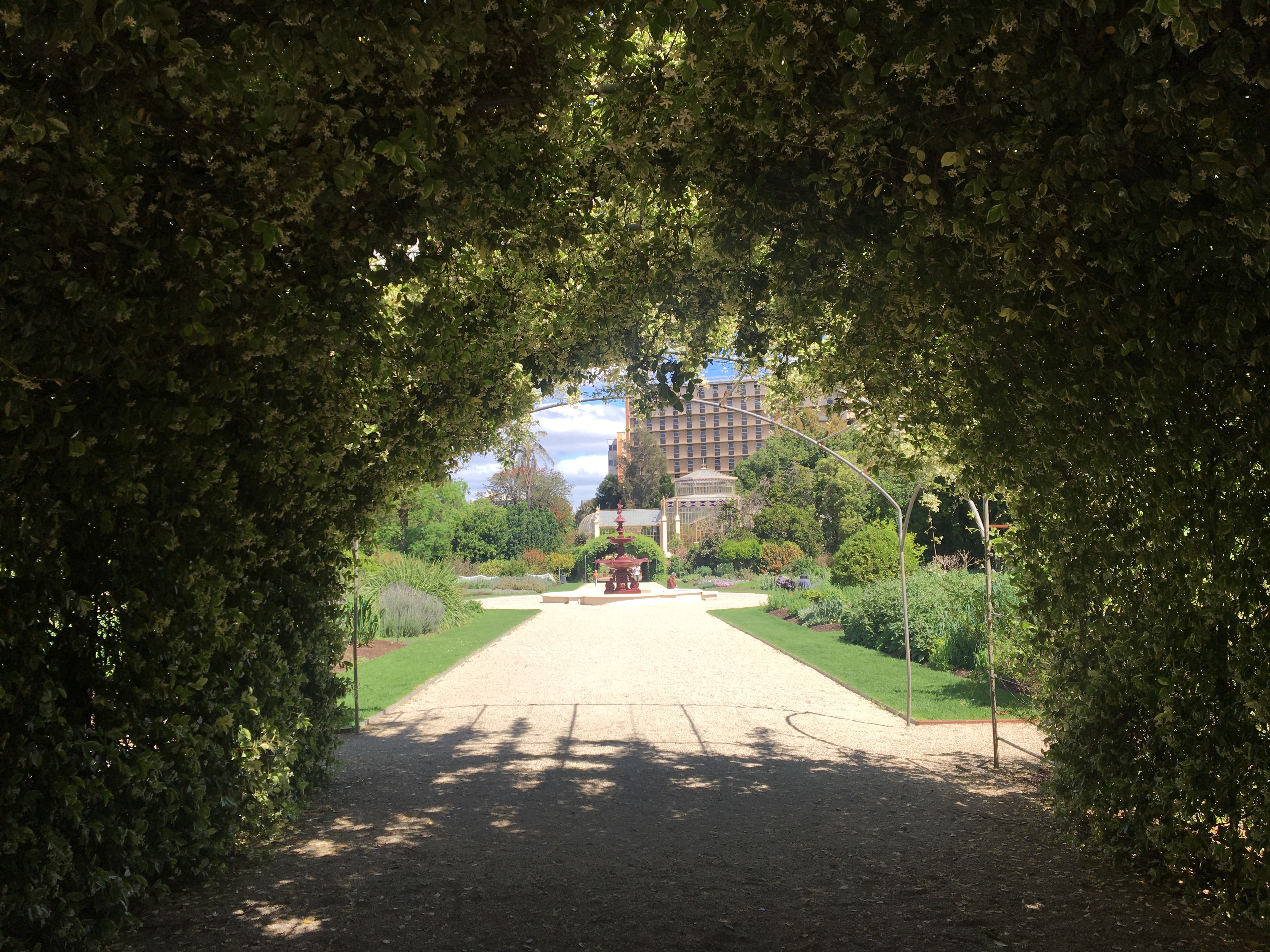 Adelaide Botanical Garden