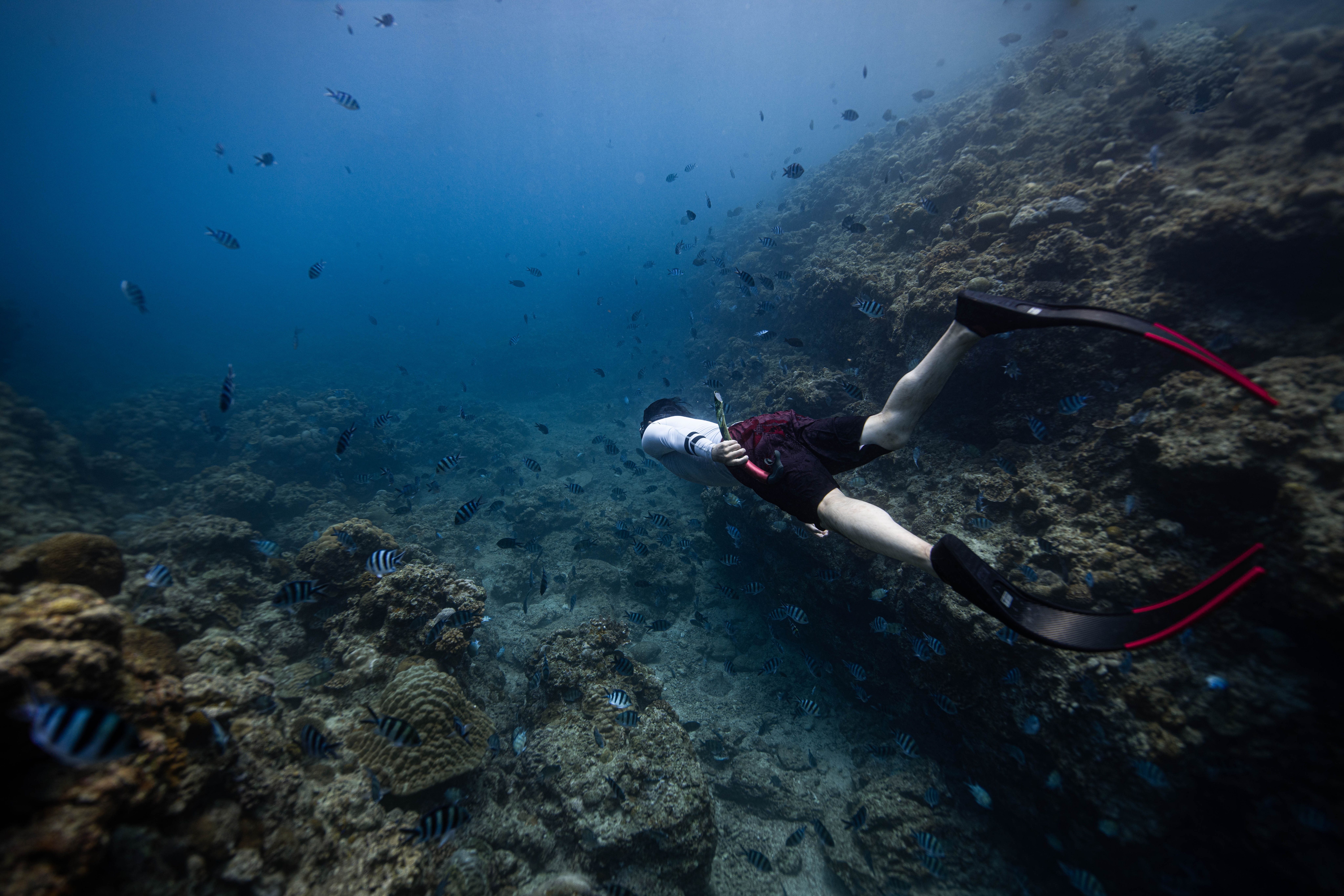 silfra snorkeling in iceland
Things to do in Reykjavik