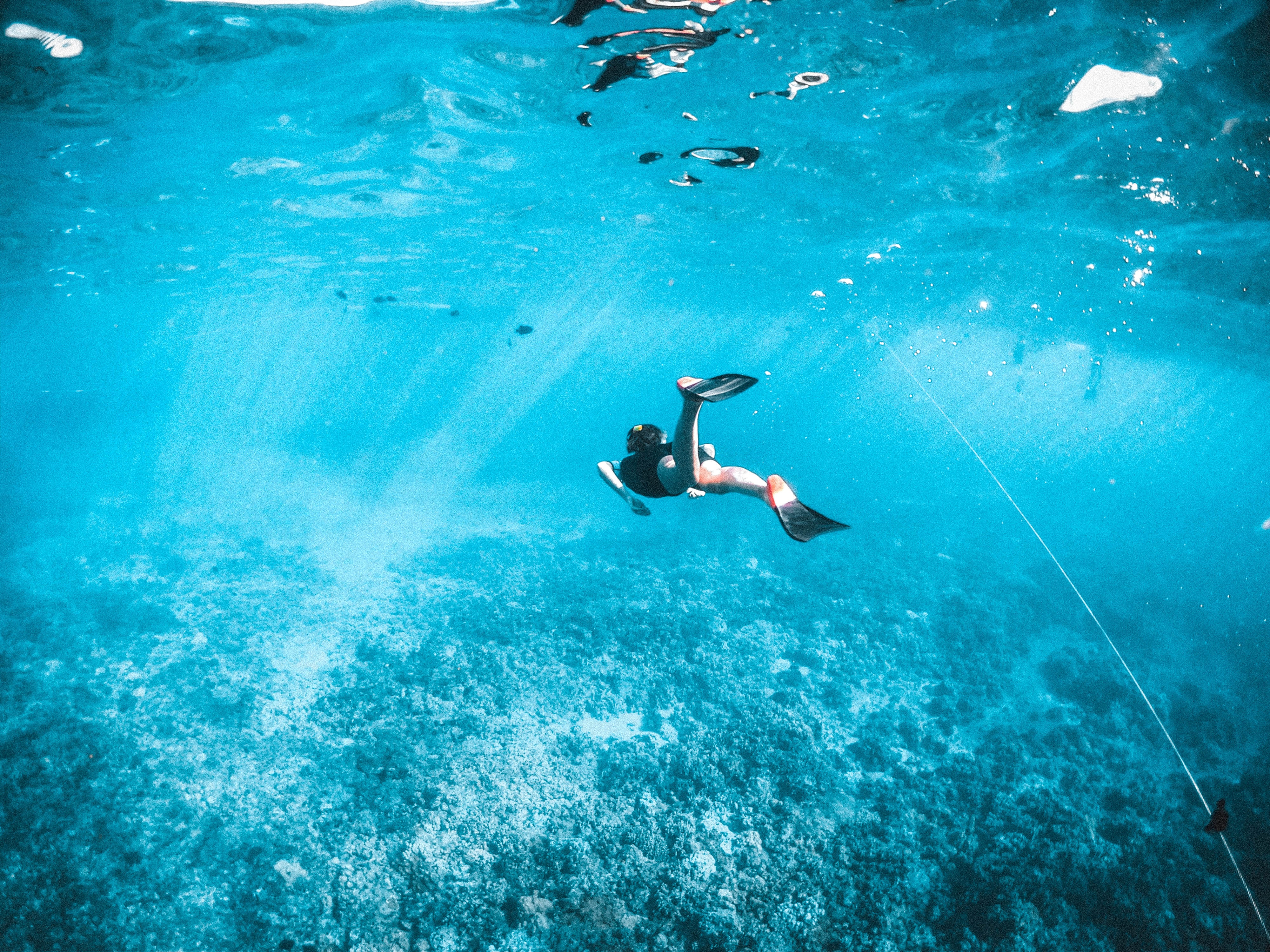 Esnórquel en la isla de Maafushi