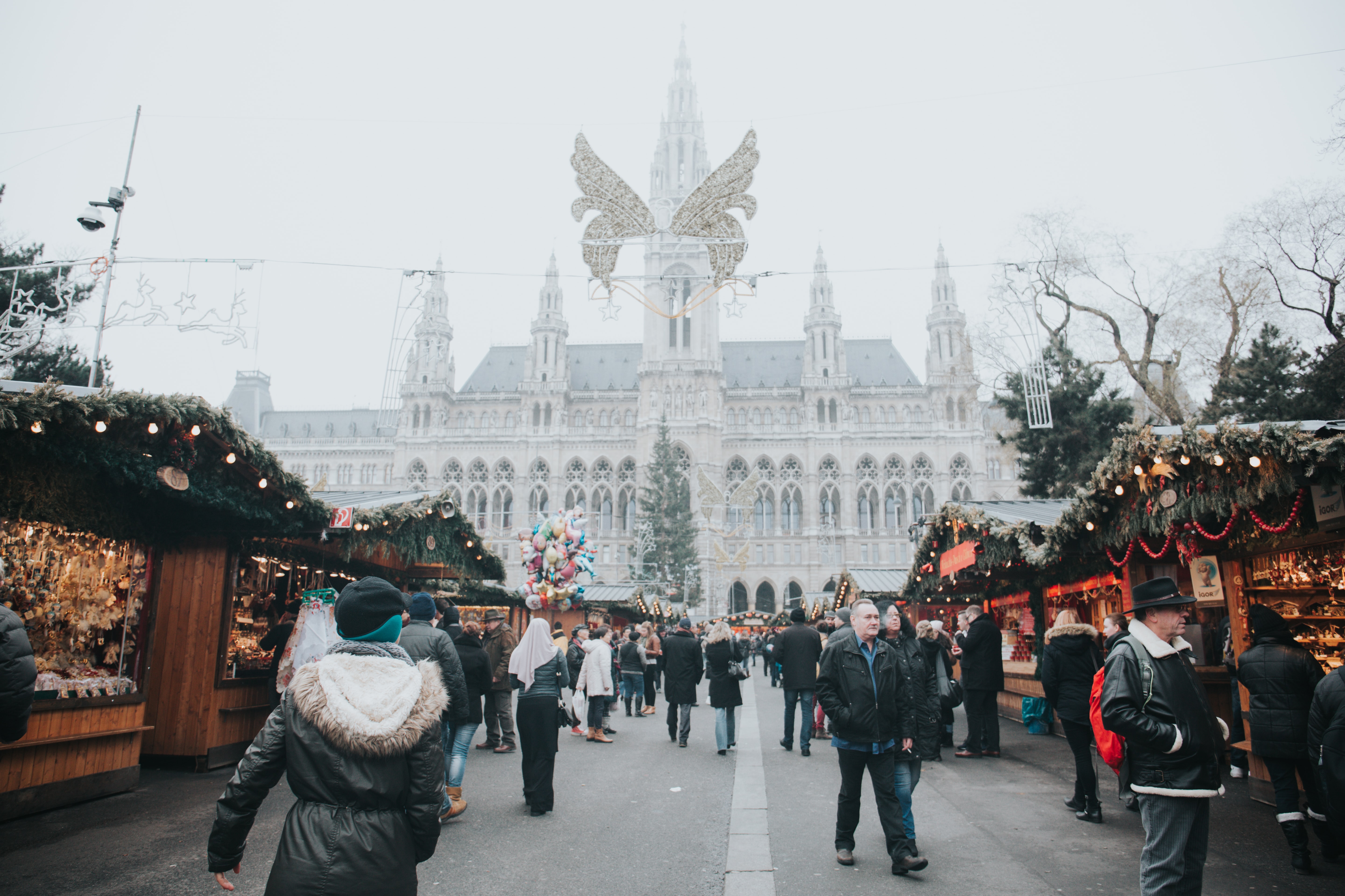 Visit Castles and Palaces, Best things to do in Austria in Winter
