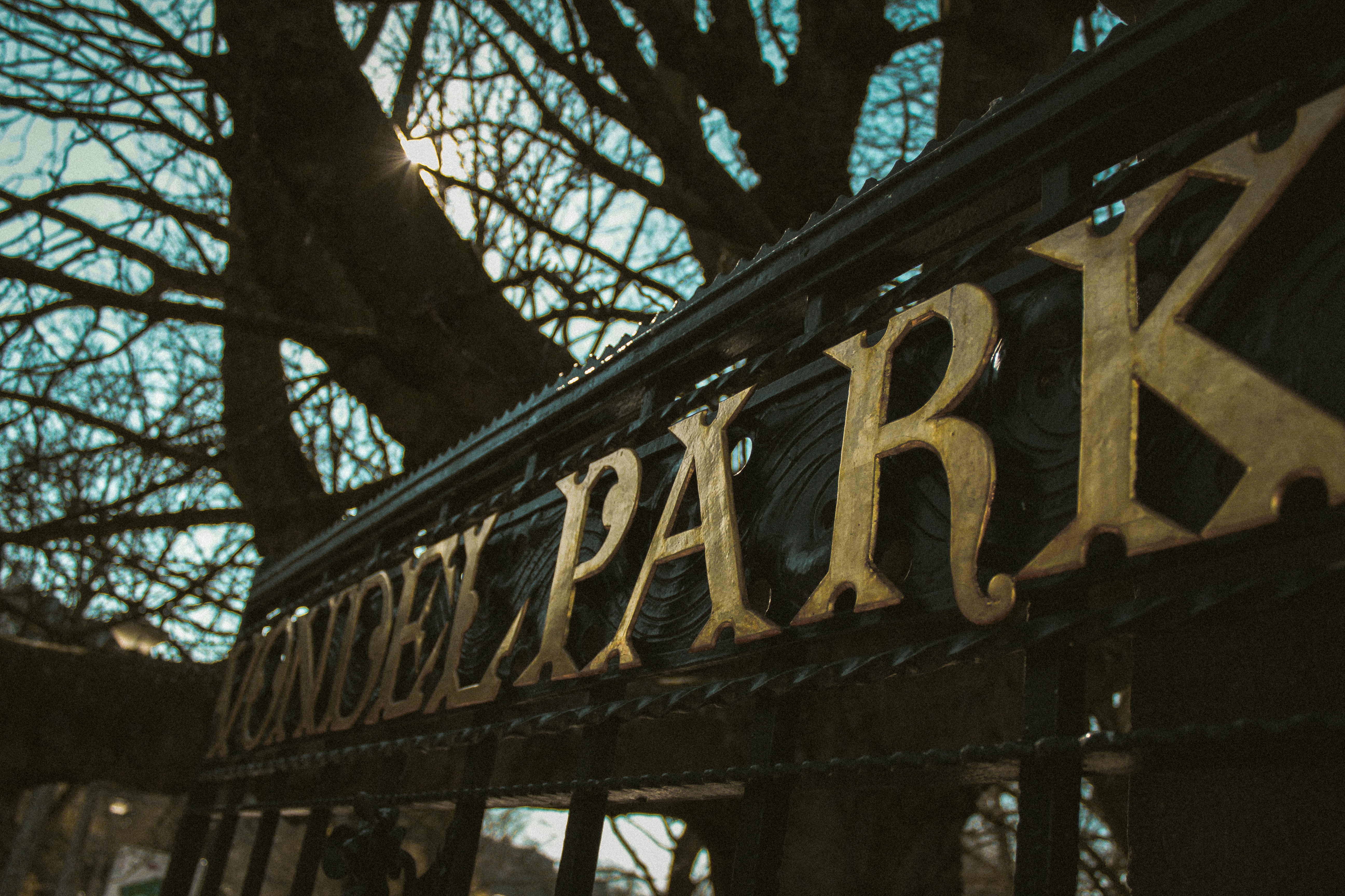 Have fun in the Vondelpark, Amsterdam, Netherlands