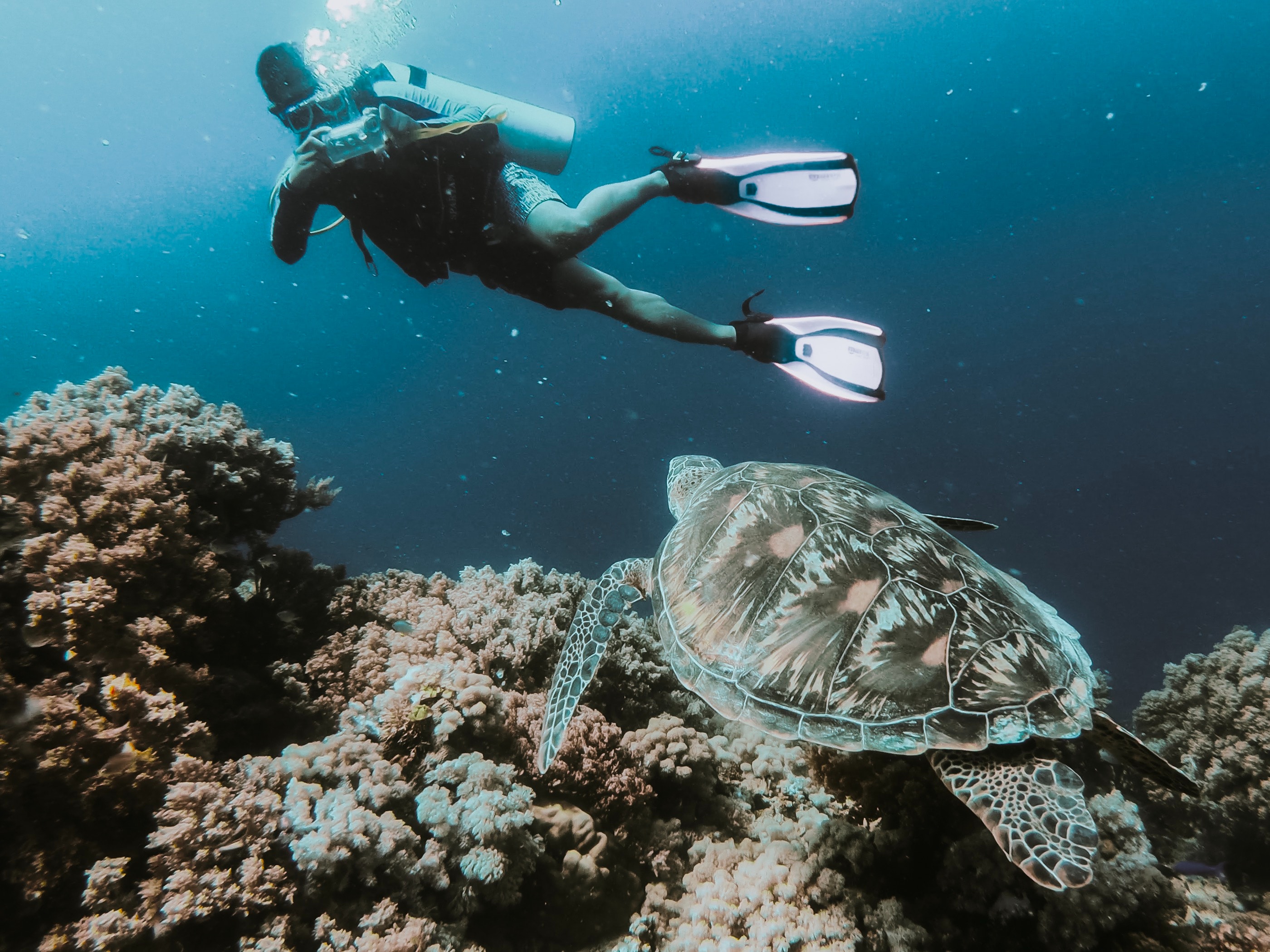 Indulging in Scuba Diving