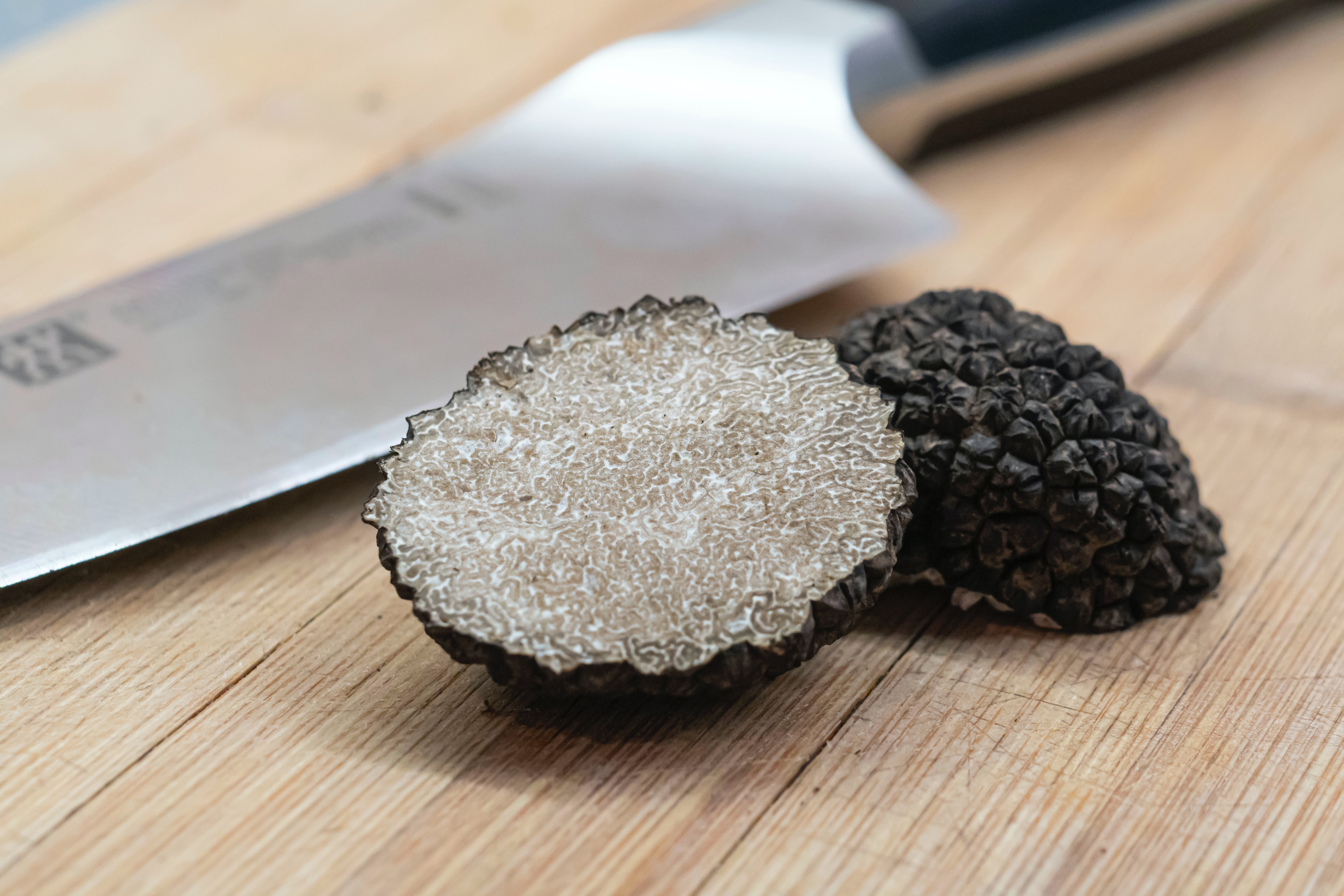 Truffle fungus
