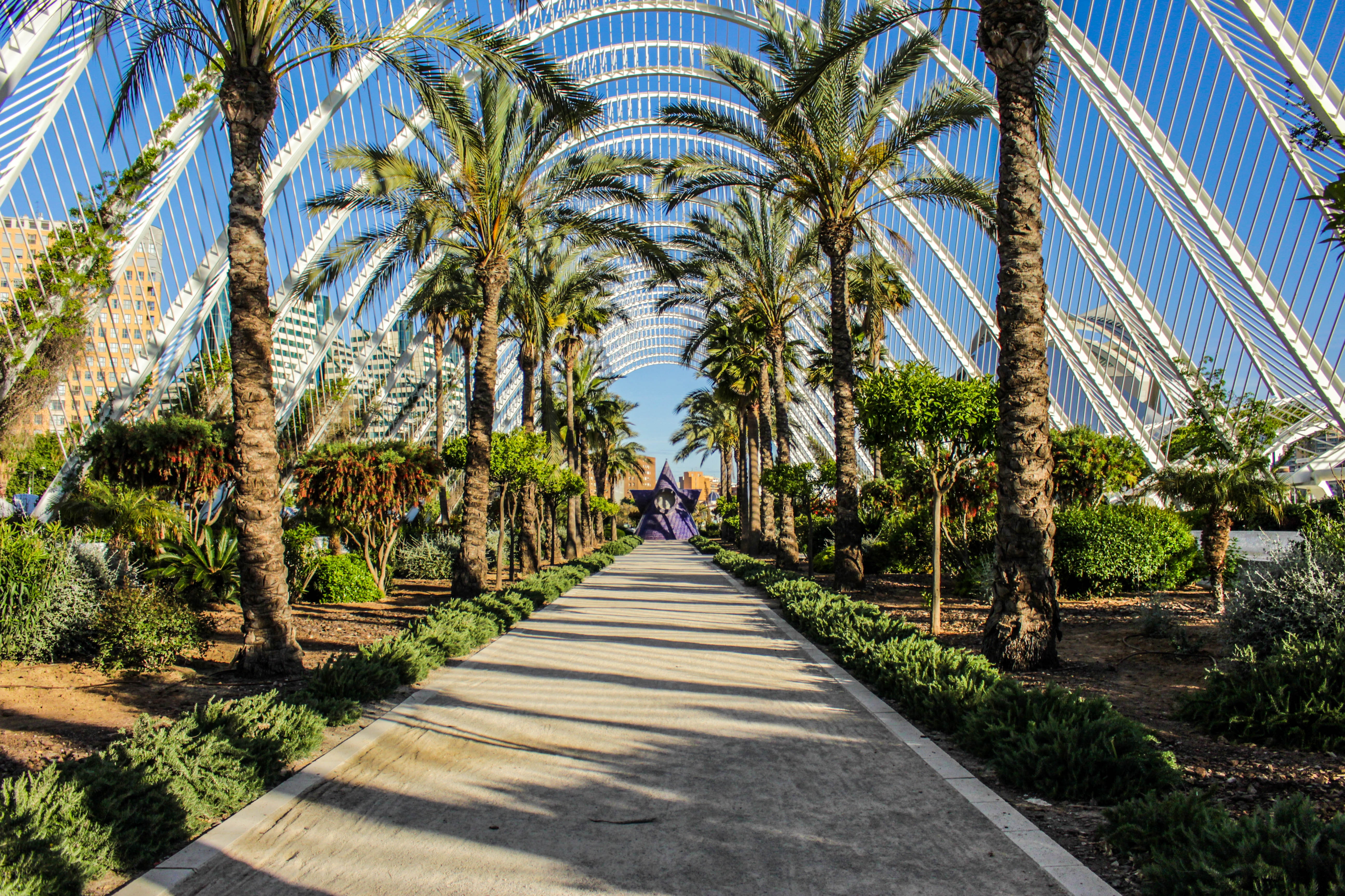 Take in some culture, Things to do for free in Valencia