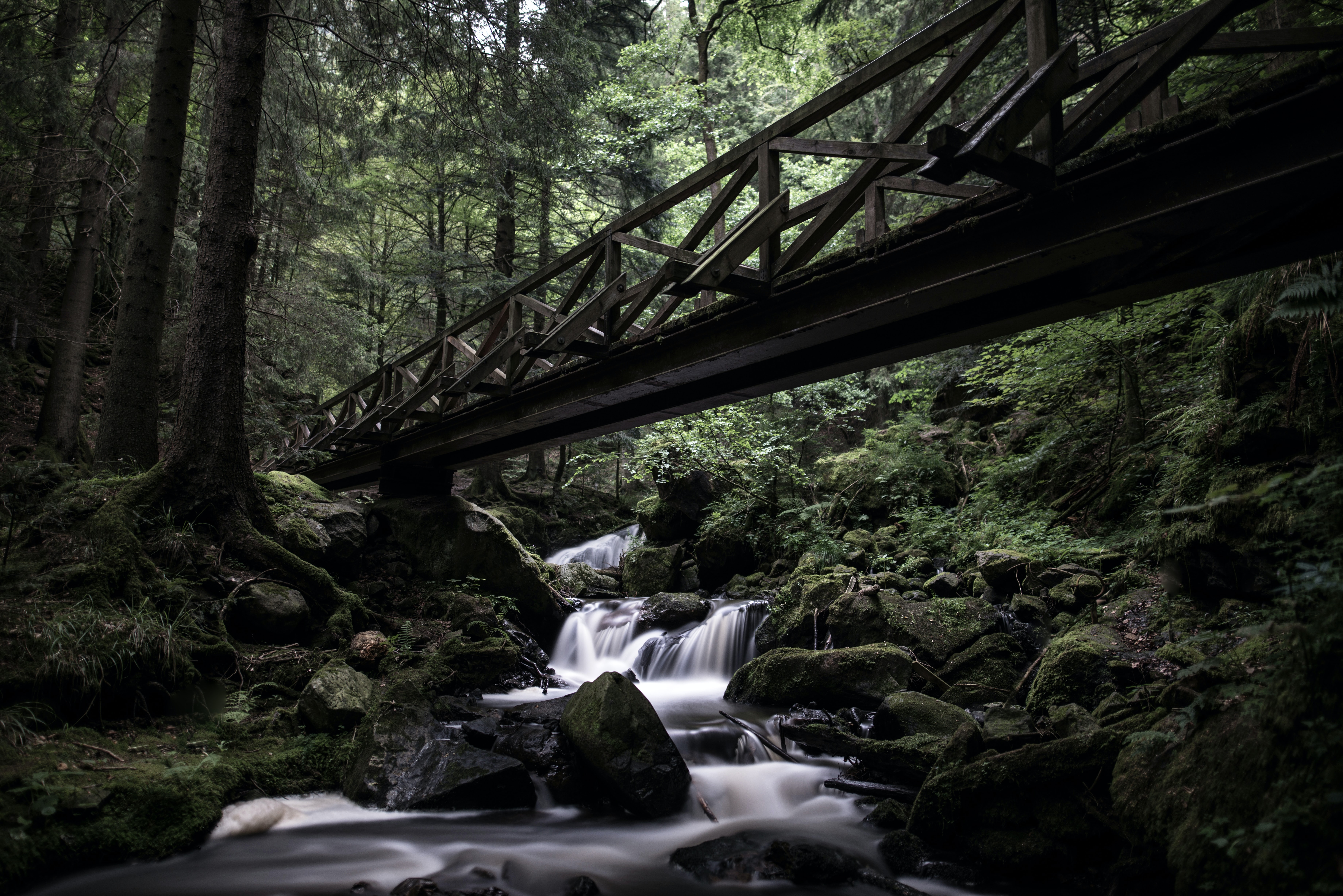 Black Forest National Park, Best National Parks In Germany