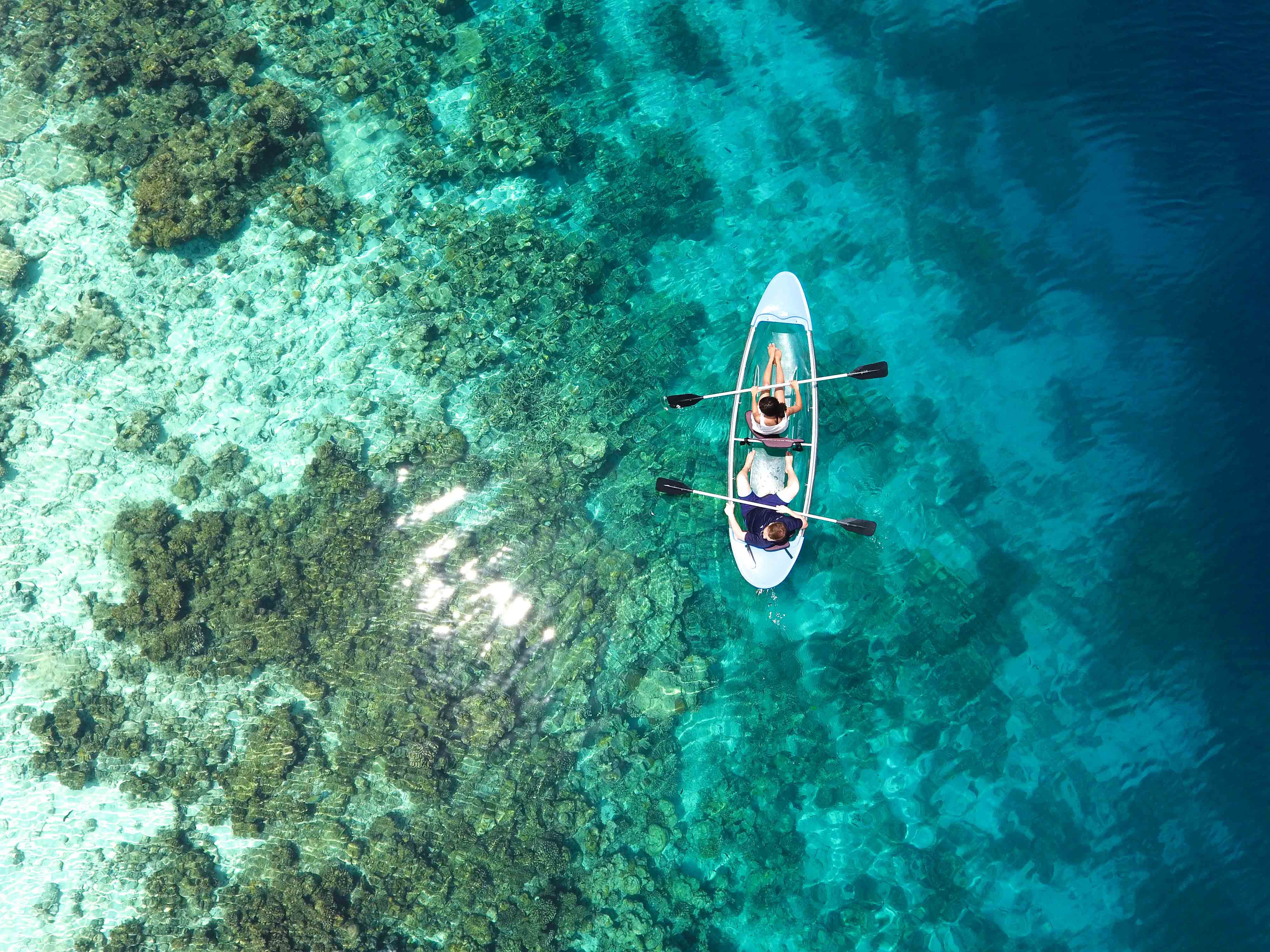 Kayaking in the Maldives Guide: Paddle Through Paradise Islands