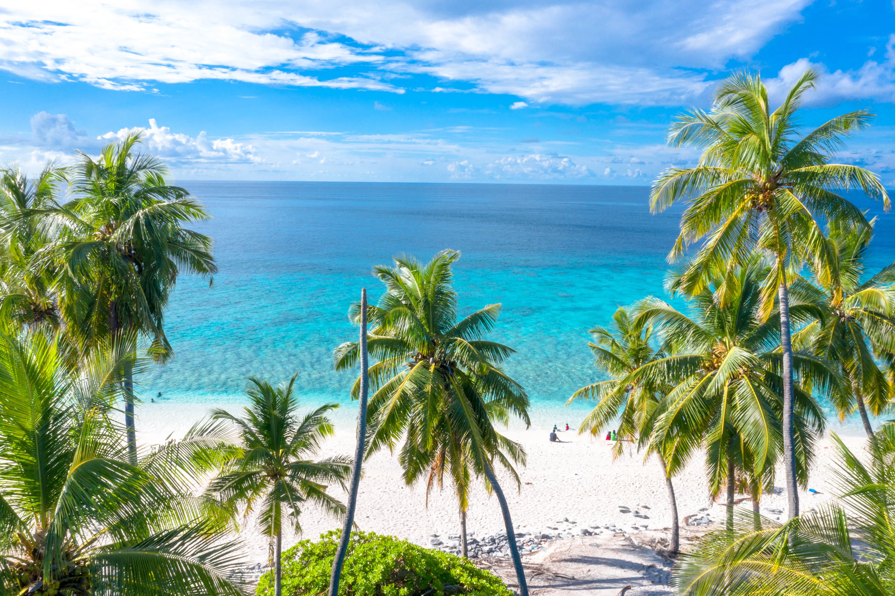 Eriyadu Island Resort House Reef: The Ultimate Snorkelling & Diving Guide