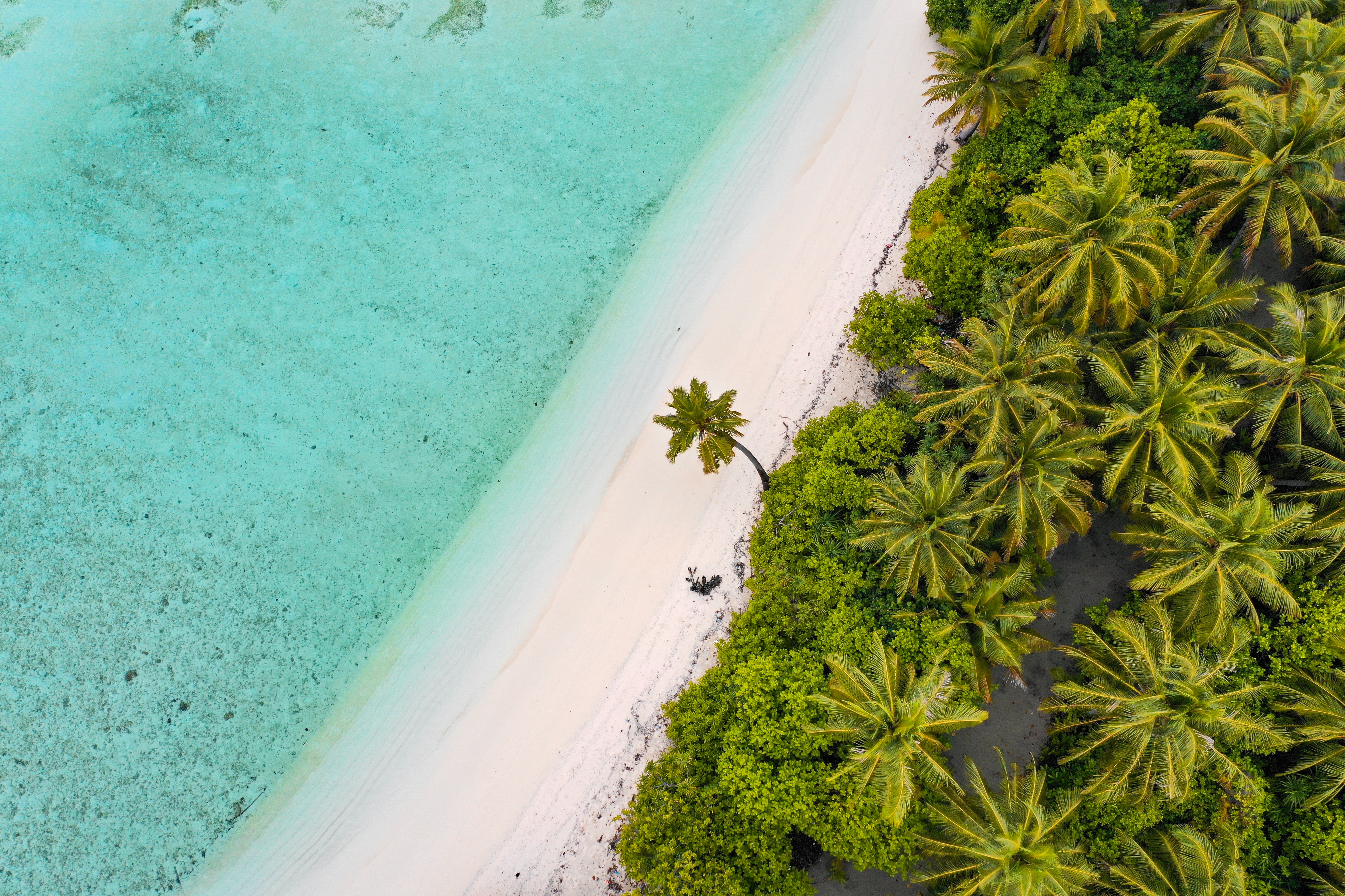 Arena Hotel Maldives