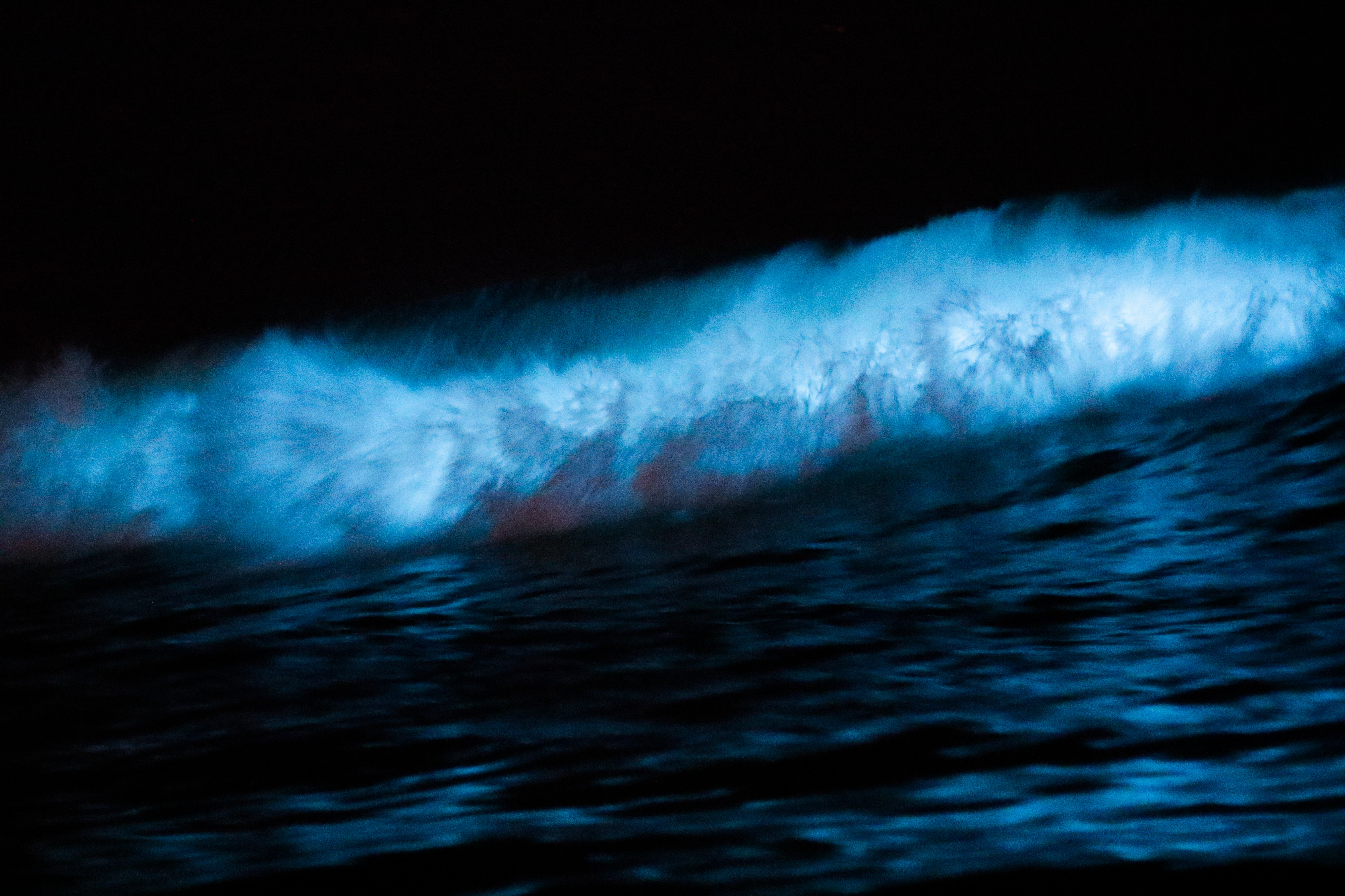 Sea of Stars Maldives on Vaadhoo Island