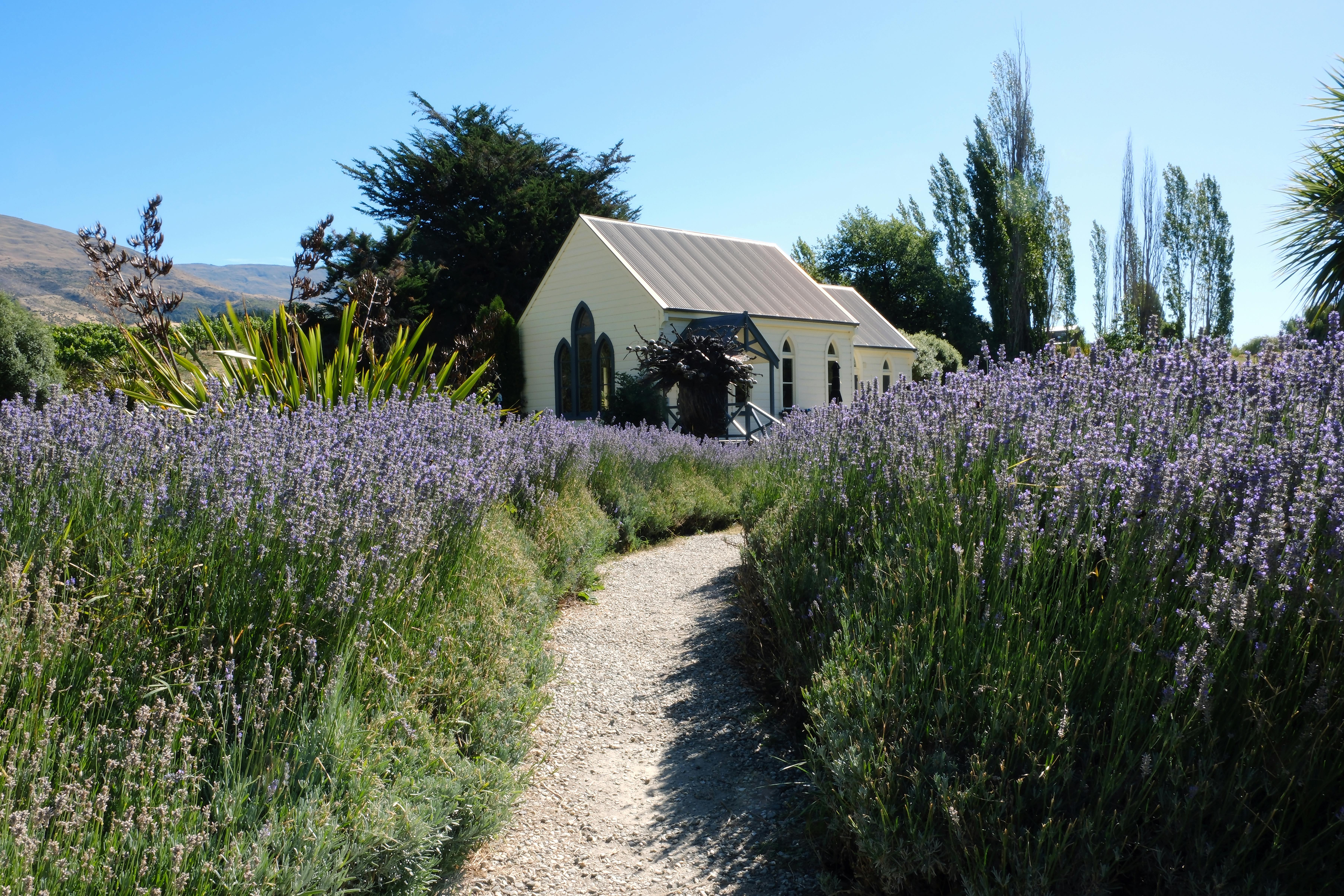 New Zealand in September