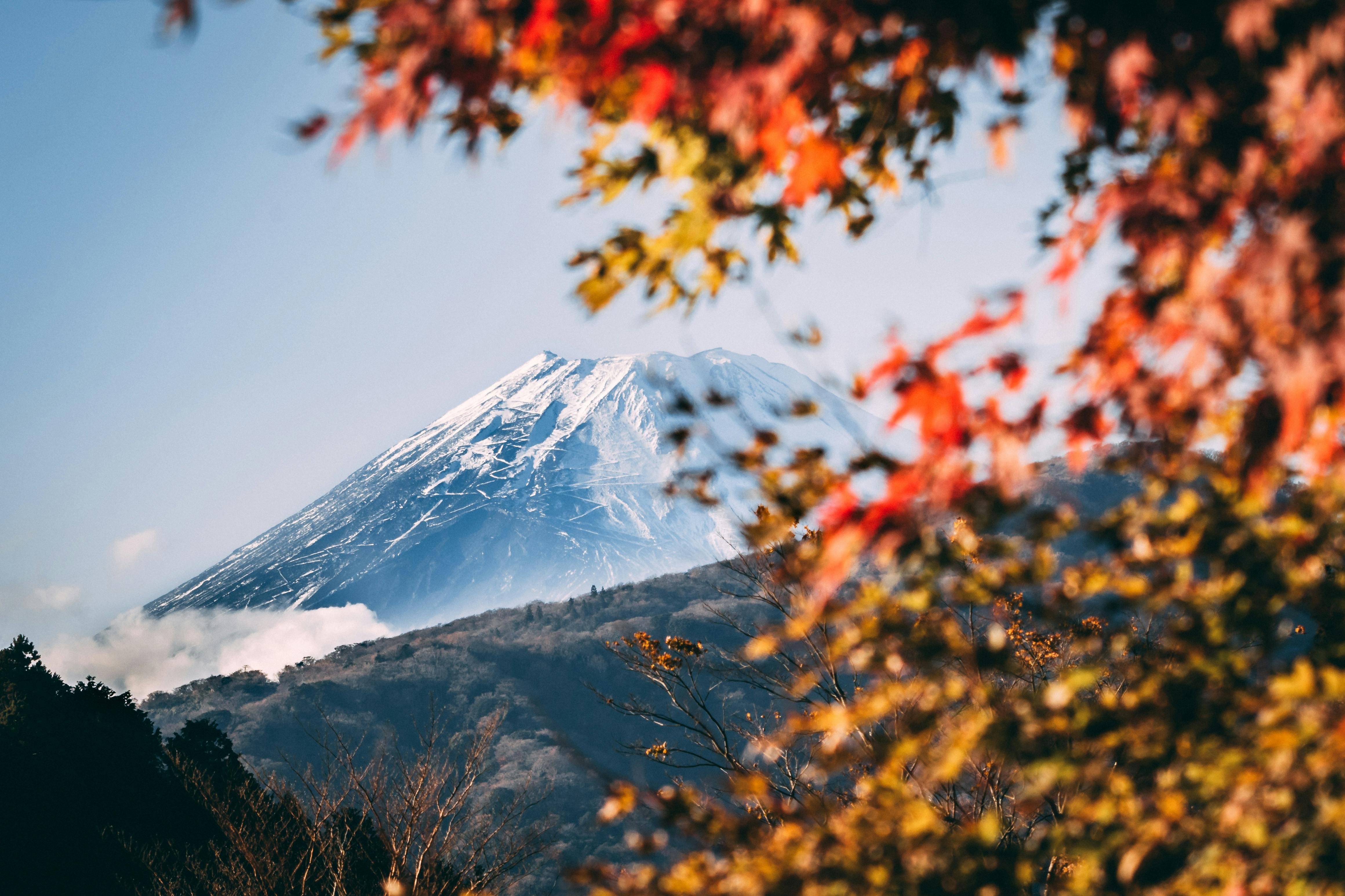 New Zealand in May